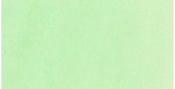 TALENS ECOLINE ACUARELA LÍQUIDA VERDE PASTEL Nº 666