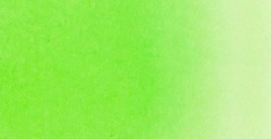 TALENS ECOLINE BRUSH PEN - PENNARELLO ACQUERELLO LIQUIDO LIGHT GREEN N. 601
