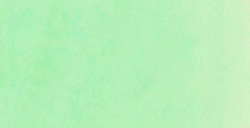 TALENS ECOLINE BRUSH PEN - PENNARELLO ACQUERELLO LIQUIDO PASTEL GREEN N. 666