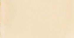 TALENS ECOLINE BRUSH PEN - PENNARELLO ACQUERELLO LIQUIDO BEIGE N. 420