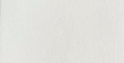TALENS ECOLINE BRUSH PEN - PENNARELLO ACQUERELLO LIQUIDO WARM GREY LIGHT N. 728