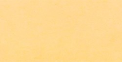 ECOLINE DUOTIP PEN PENNARELLO INCHIOSTRO BASE ACQUA - APRICOT N. 258