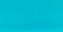 ECOLINE DUOTIP PEN PENNARELLO INCHIOSTRO BASE ACQUA - DEEP GREEN N. 602