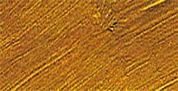 VALLEJO ARTIST ACRYLFARBE YELLOW OCHRE SERIE 300 NR. 317