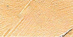 VALLEJO ARTIST ACRYLFARBE FLESH TINT SERIE 300 NR. 316