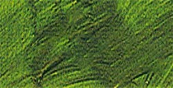 VALLEJO ARTIST ACRYLFARBE EMERALD GREEN SERIE 400 NR. 415