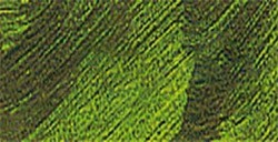 VALLEJO ARTIST ACRYLFARBE HOOKER'S GREEN SERIE 400 NR. 411