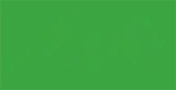 VALLEJO TEXTILE COLOR MINT NR. 55