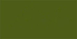 VALLEJO TEXTILE COLOR MOSS GREEN N. 57