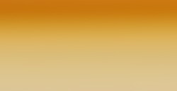 WINSOR & NEWTON ACQUERELLO COTMAN TUBETTO RAW SIENNA N. 552