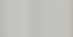 WINSOR & NEWTON ACUARELA COTMAN MEDIO GODET PLATA - Nº 617