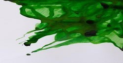 WINSOR & NEWTON INCHIOSTRO DA DISEGNO APPLE GREEN N. 011