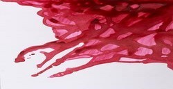 WINSOR & NEWTON INCHIOSTRO DA DISEGNO DEEP RED N. 227