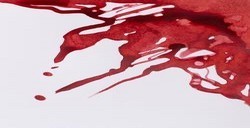 WINSOR & NEWTON INCHIOSTRO DA DISEGNO BRICK RED N. 040