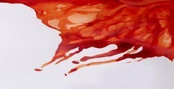 WINSOR & NEWTON INCHIOSTRO DA DISEGNO BURNT SIENNA N. 074