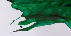 WINSOR & NEWTON INCHIOSTRO DA DISEGNO EMERALD GREEN N. 235