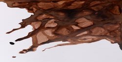WINSOR & NEWTON INCHIOSTRO DA DISEGNO PEAT BROWN N. 469