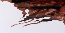 WINSOR & NEWTON INCHIOSTRO DA DISEGNO NUT BROWN N. 441