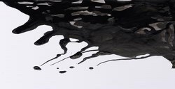 WINSOR & NEWTON INCHIOSTRO DA DISEGNO BLACK INDIAN INK N. 030