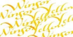 WINSOR & NEWTON ENCRE CALLIGRAPHIE JAUNE WINSOR Nº 730