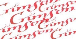 WINSOR & NEWTON INCHIOSTRI PER CALLIGRAFIA CRIMSON N. 203