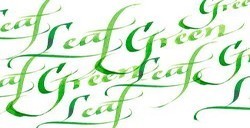 WINSOR & NEWTON INCHIOSTRI PER CALLIGRAFIA LEAF GREEN N. 341