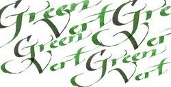 WINSOR & NEWTON ENCRE CALLIGRAPHIE VERT Nº 289