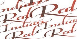 WINSOR & NEWTON INCHIOSTRI PER CALLIGRAFIA INDIAN RED N. 317