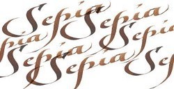 WINSOR & NEWTON INCHIOSTRI PER CALLIGRAFIA SEPIA N. 609