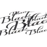 WINSOR & NEWTON TINTA DE CALIGRAFÍA NEGRO Nº 030