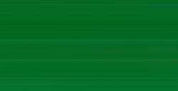 WINSOR & NEWTON ARTISTS' COLORI AD OLIO PERMANENT GREEN LIGHT SERIE 2 N. 483