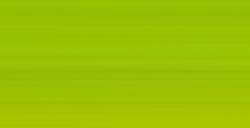 WINSOR & NEWTON ARTISTS' COLORI AD OLIO CADMIUM-FREE GREEN PALE SERIE 4 N. 897