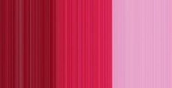 WINSOR & NEWTON COLORI AD OLIO GRIFFIN PERMANENT ROSE SERIE 1 N. 501