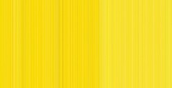 WINSOR & NEWTON COLORI AD OLIO WINTON CADMIUM LEMON HUE N. 087