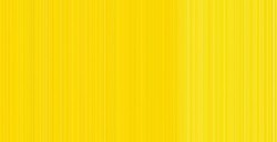 WINSOR & NEWTON COLORI AD OLIO WINTON CADMIUM YELLOW PALE HUE N. 119