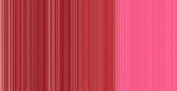 WINSOR & NEWTON COLORI AD OLIO WINTON PERMANENT ROSE N. 502