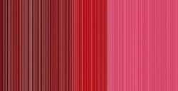 WINSOR & NEWTON COLORI AD OLIO WINTON PERMANENT ALIZARIN CRIMSON N. 468