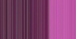 WINSOR & NEWTON COLORI AD OLIO WINTON MAGENTA N. 380