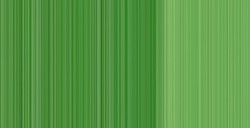 WINSOR & NEWTON COLORI AD OLIO WINTON PERMANENT GREEN LIGHT N. 483