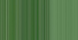 WINSOR & NEWTON COLORI AD OLIO WINTON CHROME GREEN HUE N. 145