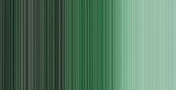WINSOR & NEWTON COLORI AD OLIO WINTON TERRE VERTE N. 637