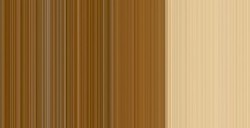 WINSOR & NEWTON COLORI AD OLIO WINTON RAW SIENNA N. 552