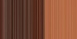 WINSOR & NEWTON COLORI AD OLIO WINTON BURNT SIENNA N. 074