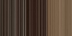 WINSOR & NEWTON COLORI AD OLIO WINTON BURNT UMBER N. 076