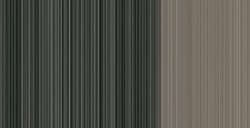 WINSOR & NEWTON COLORI AD OLIO WINTON RAW UMBER N. 554