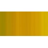 WINSOR & NEWTON COLORI AD OLIO WINTON AZO YELLOW GREEN N. 280