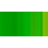 WINSOR & NEWTON COLORI AD OLIO WINTON PHTHALO YELLOW GREEN N. 403