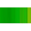 WINSOR & NEWTON COLORI AD OLIO WINTON PHTHALO YELLOW GREEN N. 403