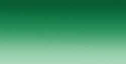 WINSOR & NEWTON PROMARKER PENNARELLO ACQUERELLABILE HOOKER'S GREEN DARK N. 312