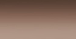 WINSOR & NEWTON PROMARKER PENNARELLO ACQUERELLABILE SEPIA N. 609